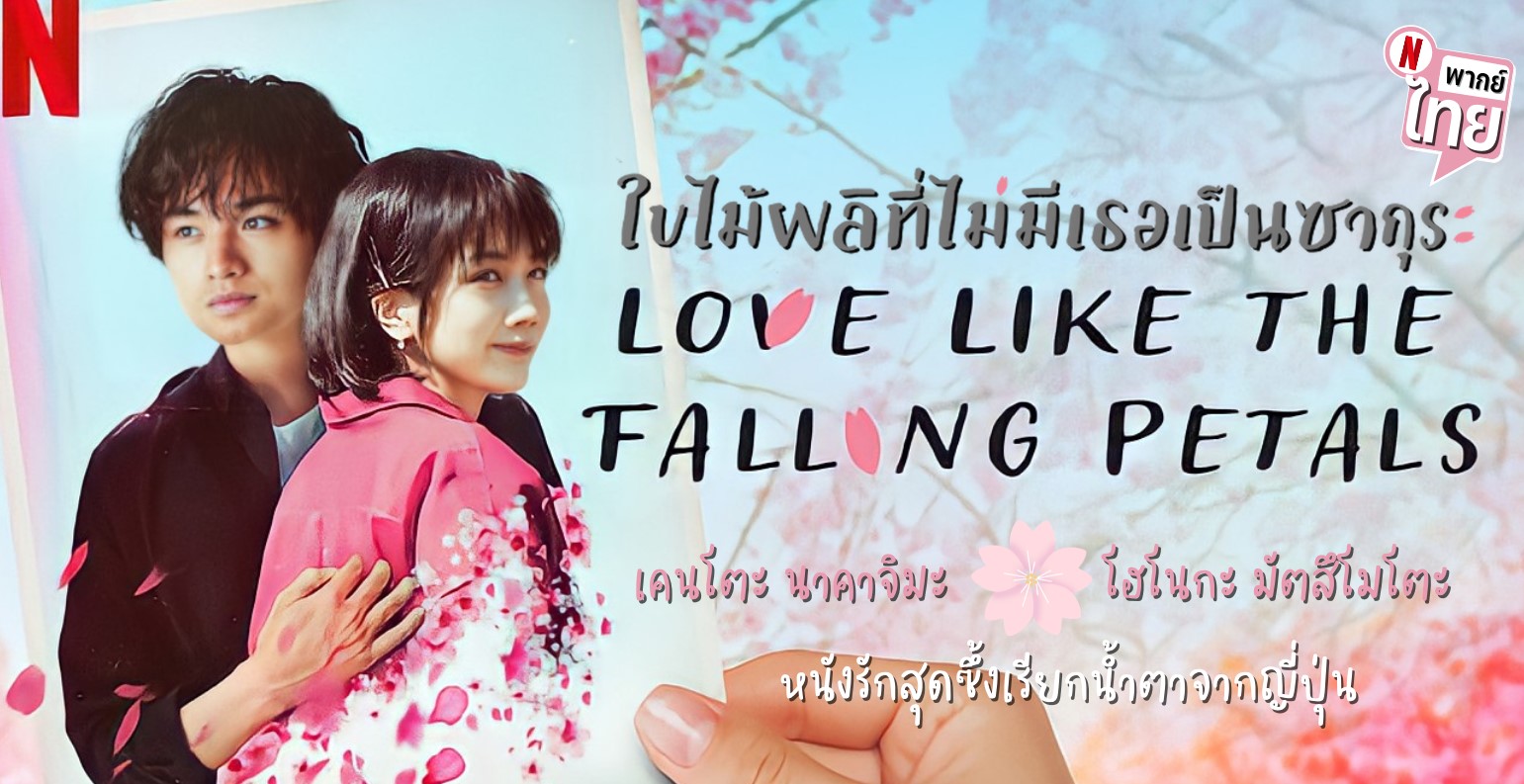 รีวิวหนัง Love Like the Falling Petals